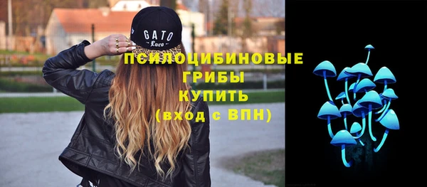 прущая мука Богданович