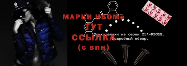 прущий лед Богородицк