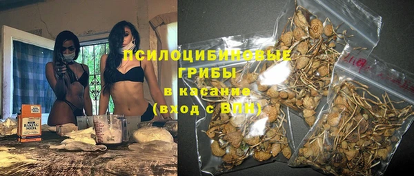 прущая мука Богданович